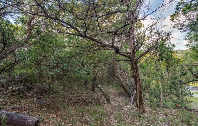 19932  Scenic Loop Rd, Helotes, TX 78023 — photo 9