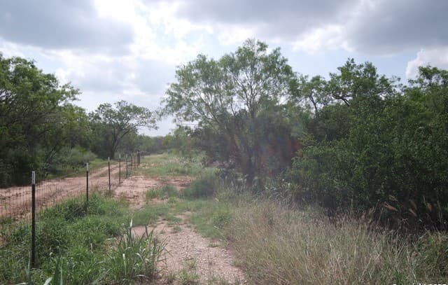 9459  Crow, Adkins, TX 78101 — photo 10