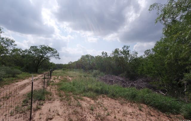 9459  Crow, Adkins, TX 78101 — photo 11
