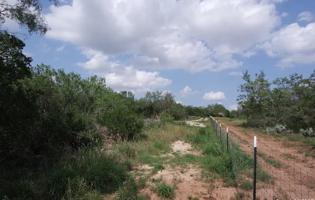 9459  Crow, Adkins, TX 78101 — photo 5