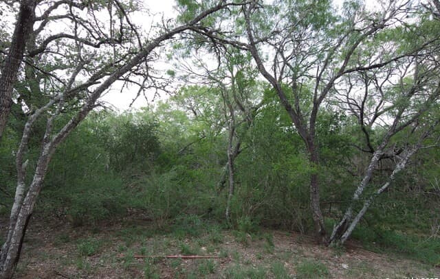 9459  Crow, Adkins, TX 78101 — photo 6