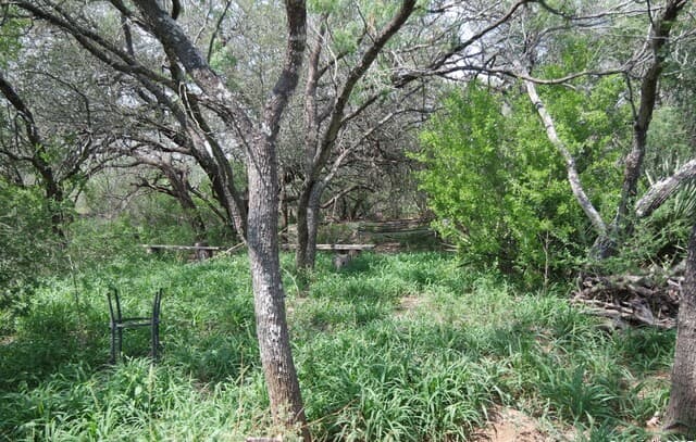 9459  Crow, Adkins, TX 78101 — photo 7