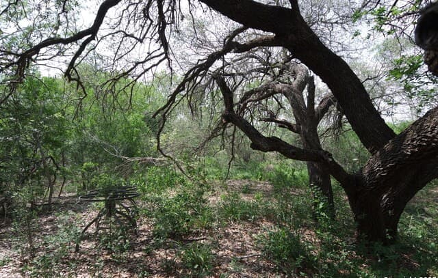 9459  Crow, Adkins, TX 78101 — photo 8