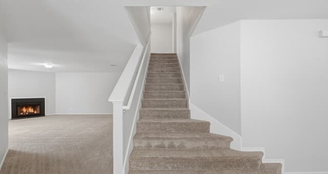 214  Hallie Cv, San Antonio, TX 78227 — photo 19