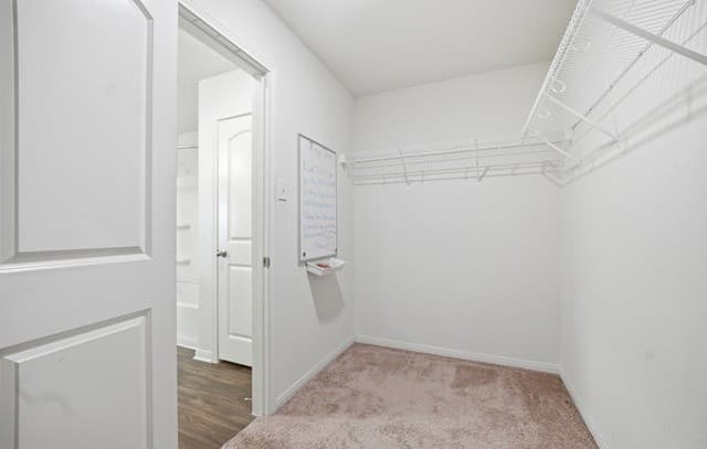 3323  Begonia Bnd, San Antonio, TX 78222 — photo 21