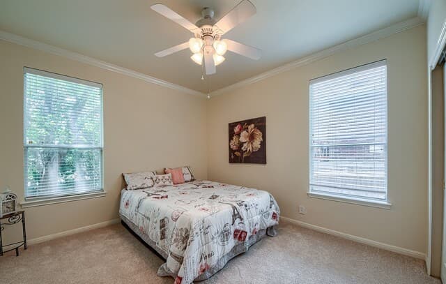 22311  Lavaca Crk, San Antonio, TX 78258 — photo 17
