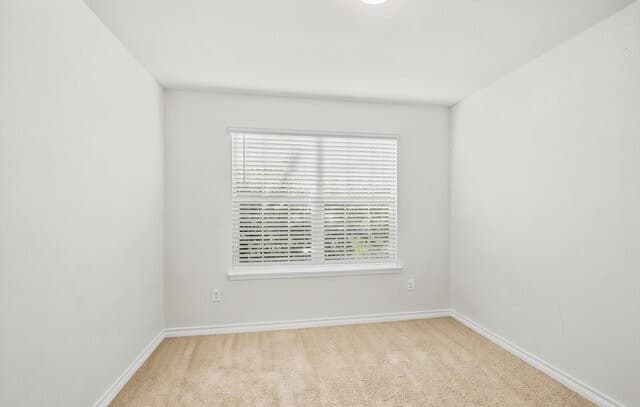 6441  Staccato Staff, San Antonio, TX 78252 — photo 15