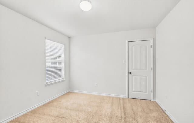 6441  Staccato Staff, San Antonio, TX 78252 — photo 17