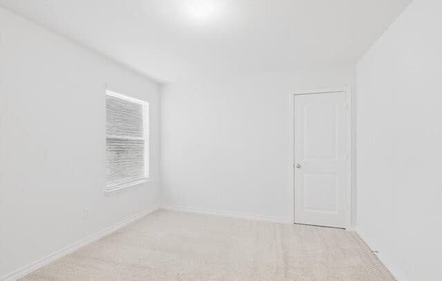 6441  Staccato Staff, San Antonio, TX 78252 — photo 18