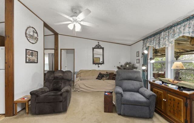 1522  Forest Trail Dr, Bandera, TX 78003 — photo 12