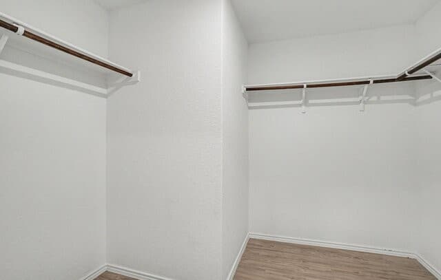 5414  Daphne Path, San Antonio, TX 78253 — photo 10