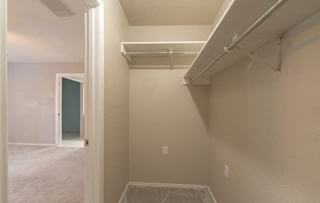 6239 Donely Pl, San Antonio, TX 78247 — photo 15