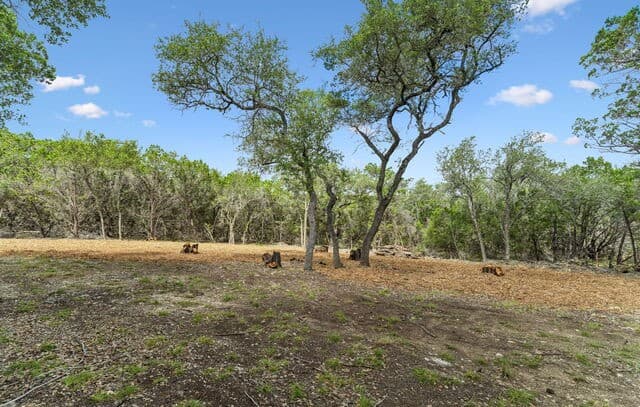 89  Lot Stallion Estates, Spring Branch, TX 78070 — photo 10