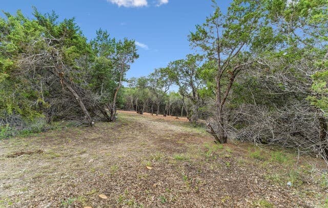 89  Lot Stallion Estates, Spring Branch, TX 78070 — photo 4