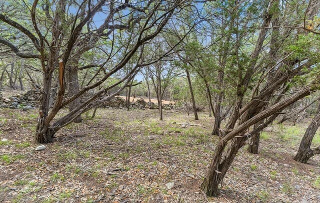 89  Lot Stallion Estates, Spring Branch, TX 78070 — photo 6