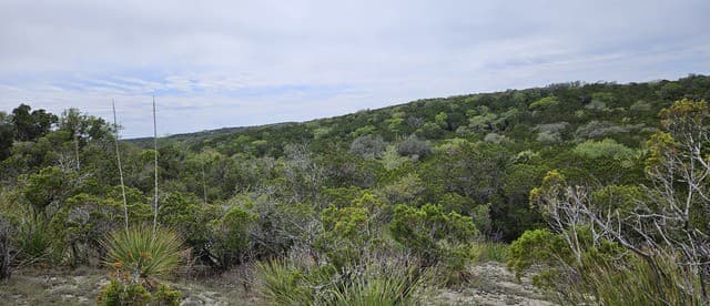 21207 Scenic Loop
