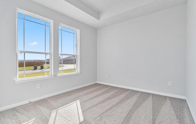 174  Firewheel Loop, Floresville, TX 78114 — photo 21