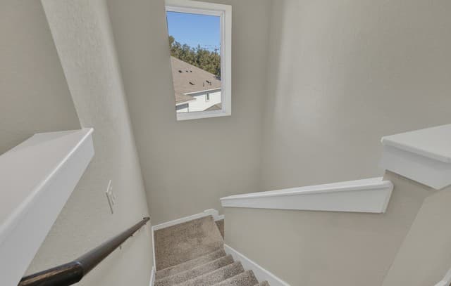 15418  Ivory Hls, San Antonio, TX 78247 — photo 23