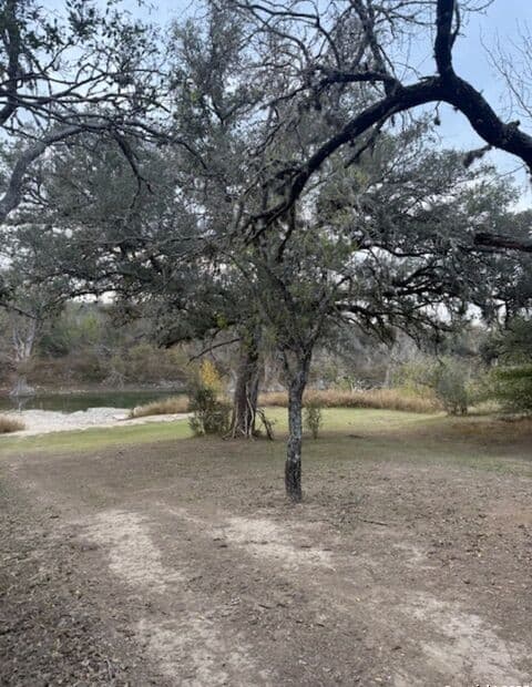 160  Restless Wind, Spring Branch, TX 78070 — photo 16