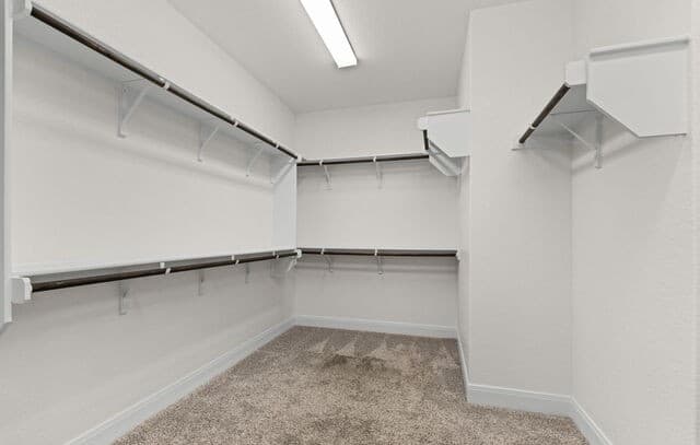 10833 Bango Farms, San Antonio, TX 78254 — photo 20
