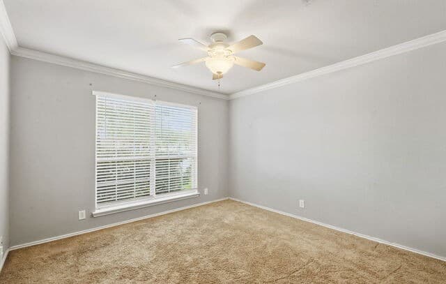 9844 Cactus Vly, San Antonio, TX 78254 — photo 18