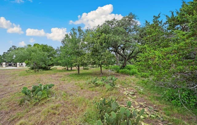 128  Rio Grande Dr, Blanco, TX 78606 — photo 15
