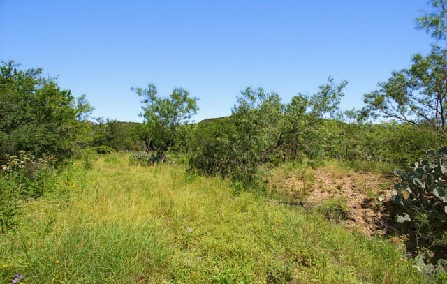 LOT 65  Cr 5722, Castroville, TX 78009 — photo 13