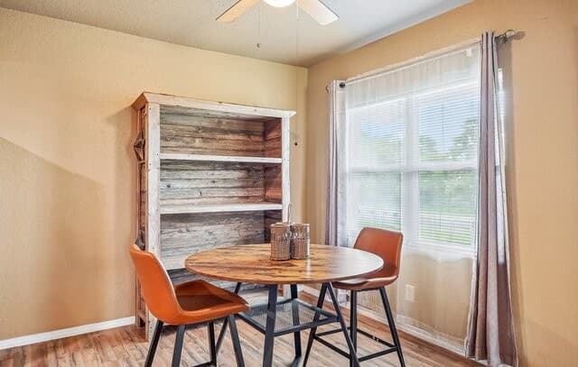 4229 & 4225  Mansion, Von Ormy, TX 78073 — photo 18