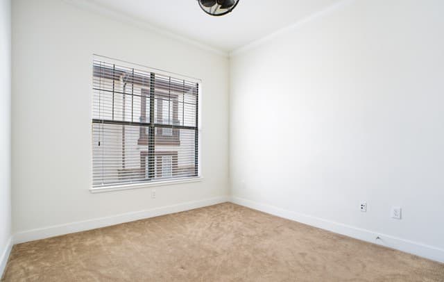 7342  Oak Manor Unit 1302, San Antonio, TX 78229 — photo 25