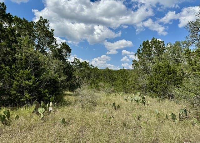 LOT 10  Pr 2535, Mico, TX 78056 — photo 4