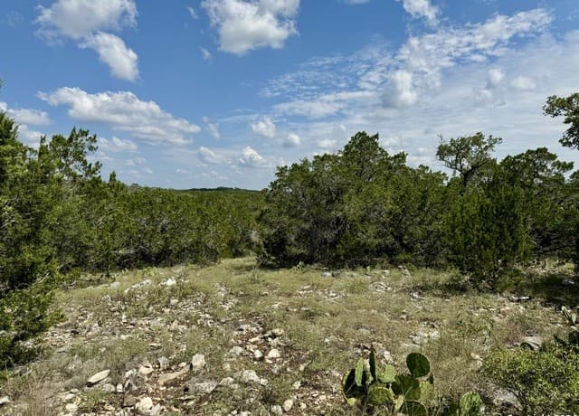 LOT 10  Pr 2535, Mico, TX 78056 — photo 8