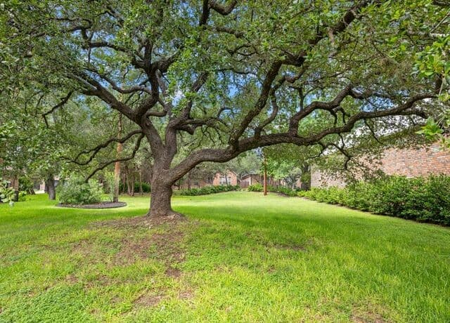 2  Century Glen, San Antonio, TX 78257 — photo 7