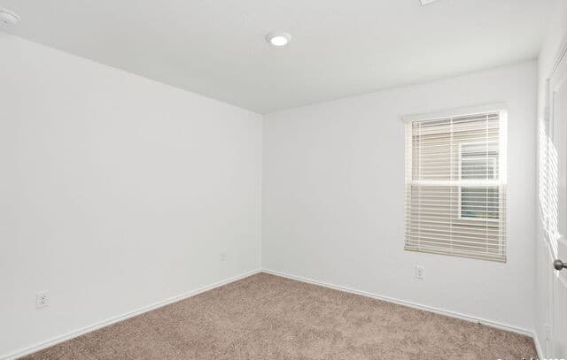 13528  Barton Cv, San Antonio, TX 78253 — photo 8