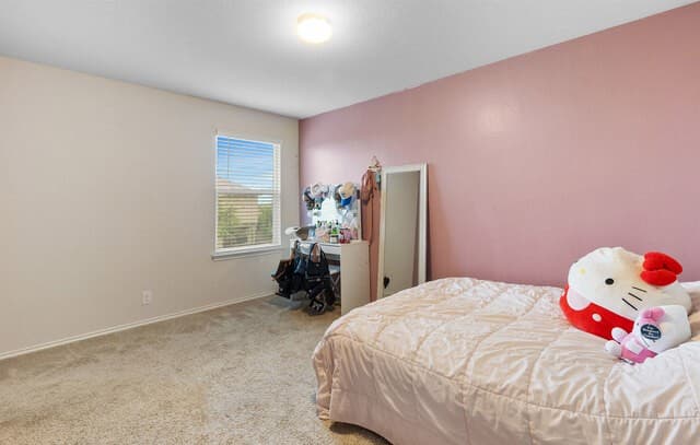 4215  Toledo Mist, San Antonio, TX 78222 — photo 18