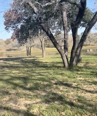 1075  Clear Lake Loop, Poteet, TX 78065 — photo 4