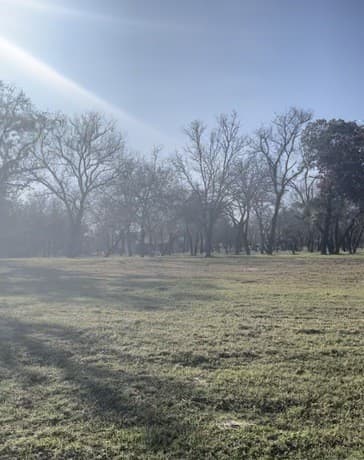 1075  Clear Lake Loop, Poteet, TX 78065 — photo 6