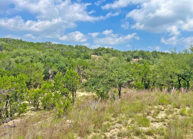 119  Champion Way, Spring Branch, TX 78070 — photo 12