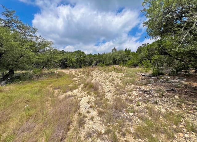 119  Champion Way, Spring Branch, TX 78070 — photo 13