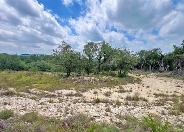 119  Champion Way, Spring Branch, TX 78070 — photo 14