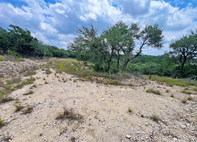 119  Champion Way, Spring Branch, TX 78070 — photo 16
