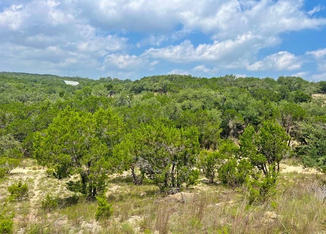 119  Champion Way, Spring Branch, TX 78070 — photo 6