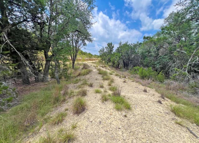 119  Champion Way, Spring Branch, TX 78070 — photo 9