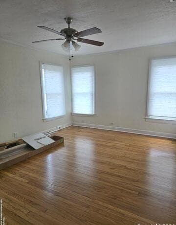 122  Leming, San Antonio, TX 78201 — photo 10