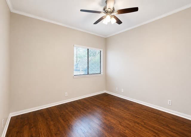 15119 Spring Mist, San Antonio, TX 78247 — photo 14