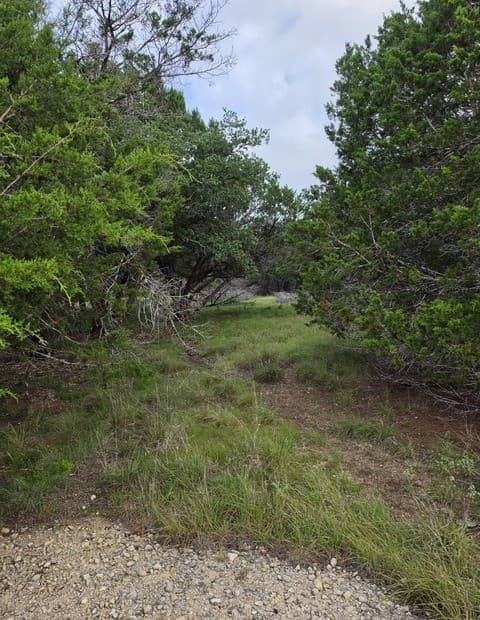 1061  Cielo Springs Dr, Blanco, TX 78606 — photo 2