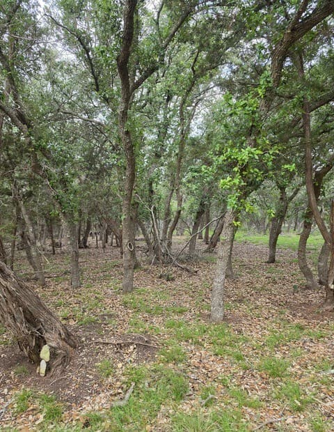 1061  Cielo Springs Dr, Blanco, TX 78606 — photo 4
