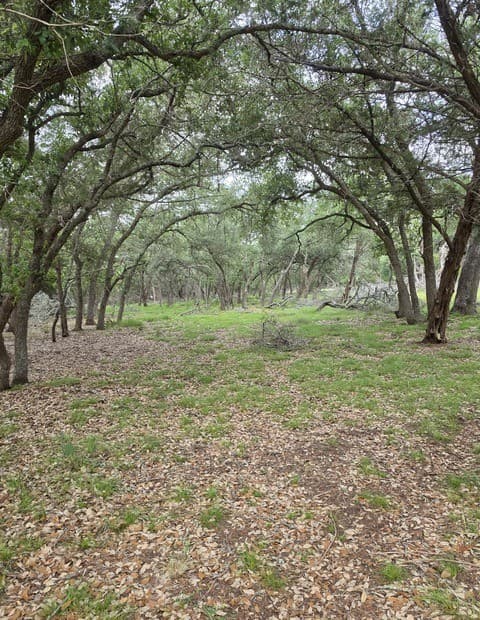 1061  Cielo Springs Dr, Blanco, TX 78606 — photo 5