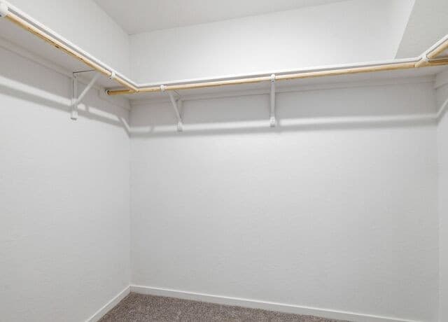 7311  Adam Star, San Antonio, TX 78263 — photo 16