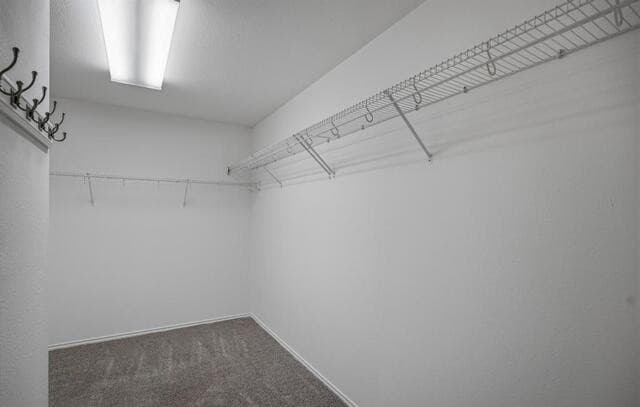 14342  Markham Ln, San Antonio, TX 78247 — photo 20