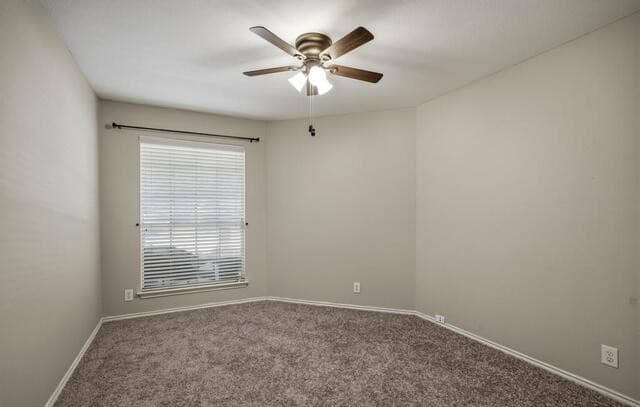 14342  Markham Ln, San Antonio, TX 78247 — photo 21